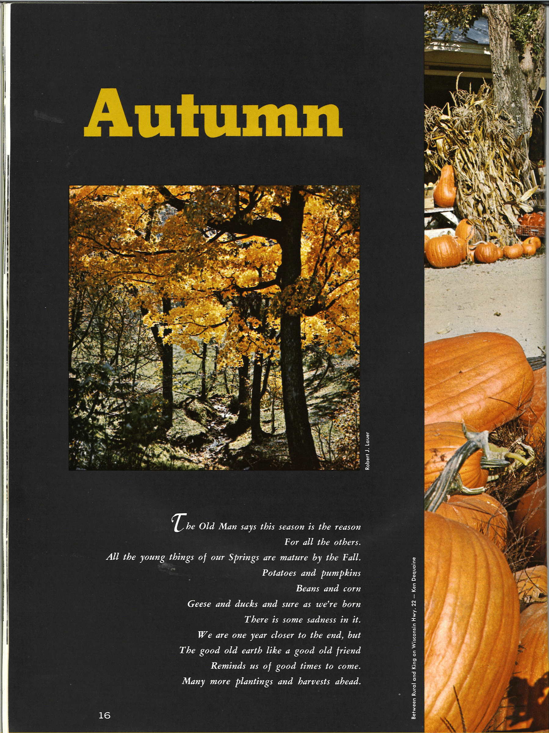 Poems Autumn 1967-1