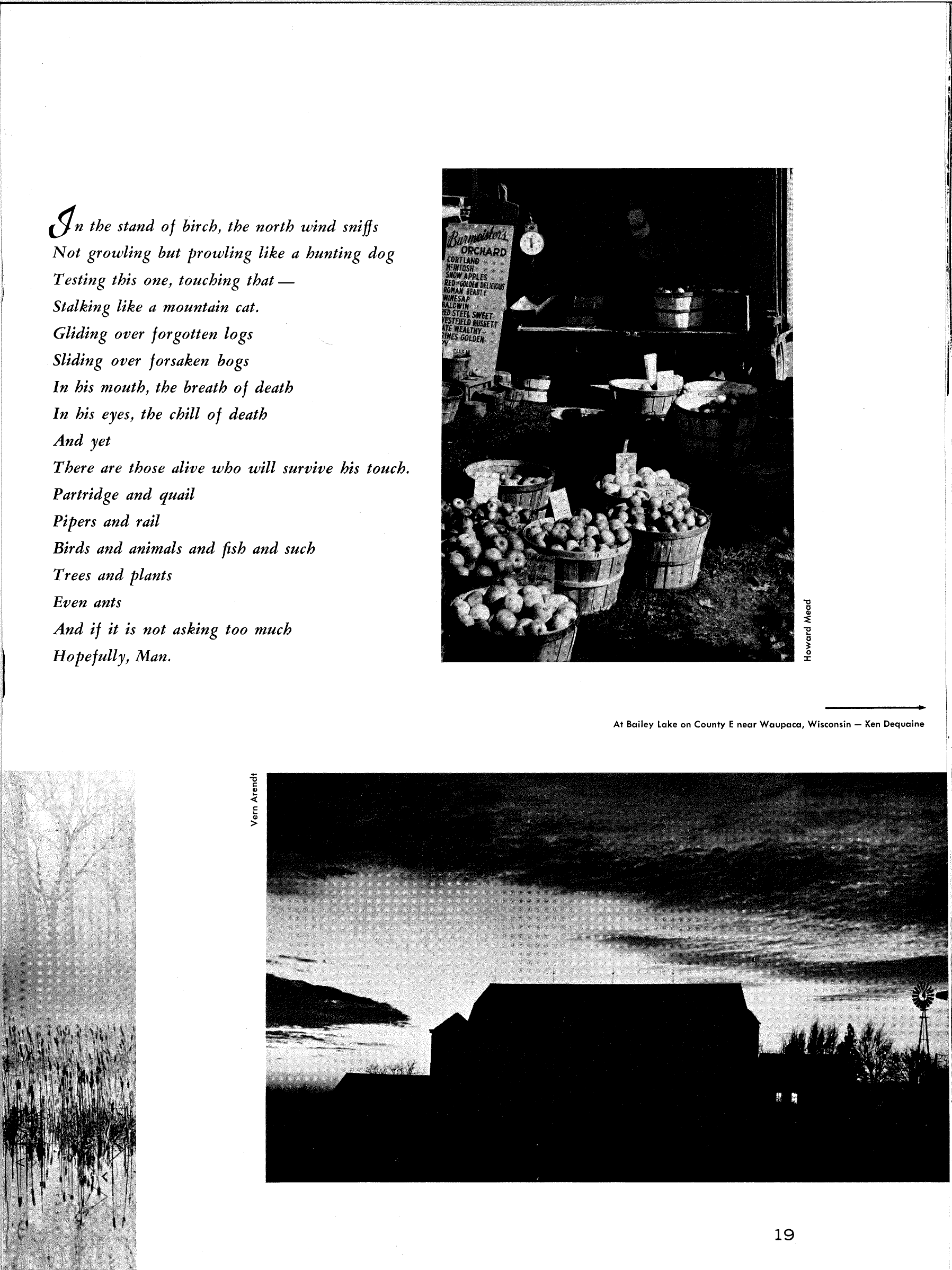 Poems Autumn 1967-2