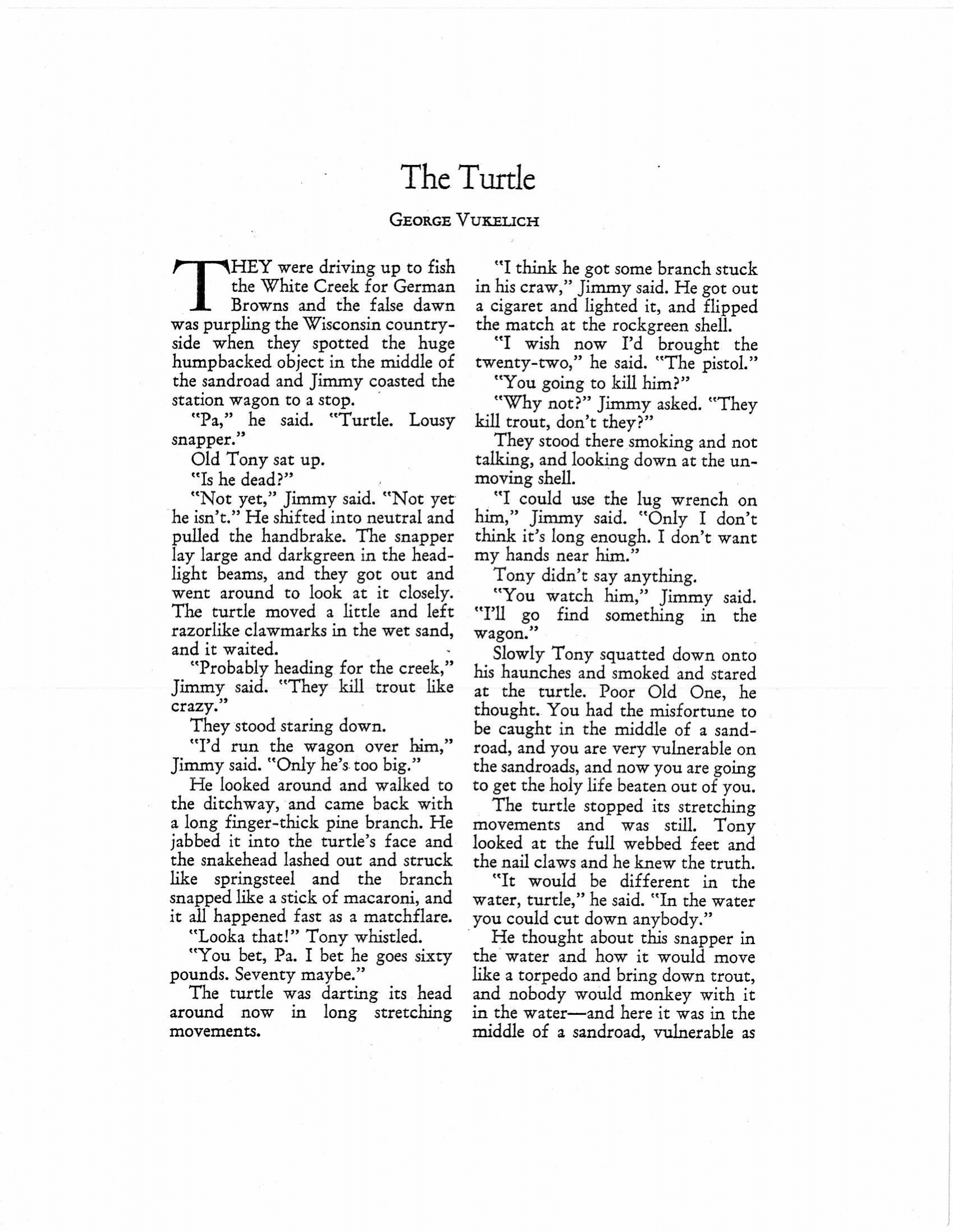 The Turtle-1
